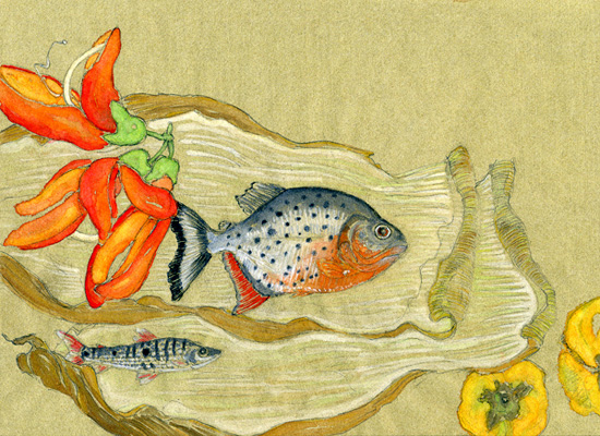 Fish And Flowers