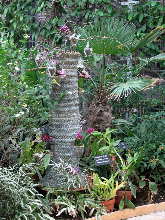 Orchid Organ Tree