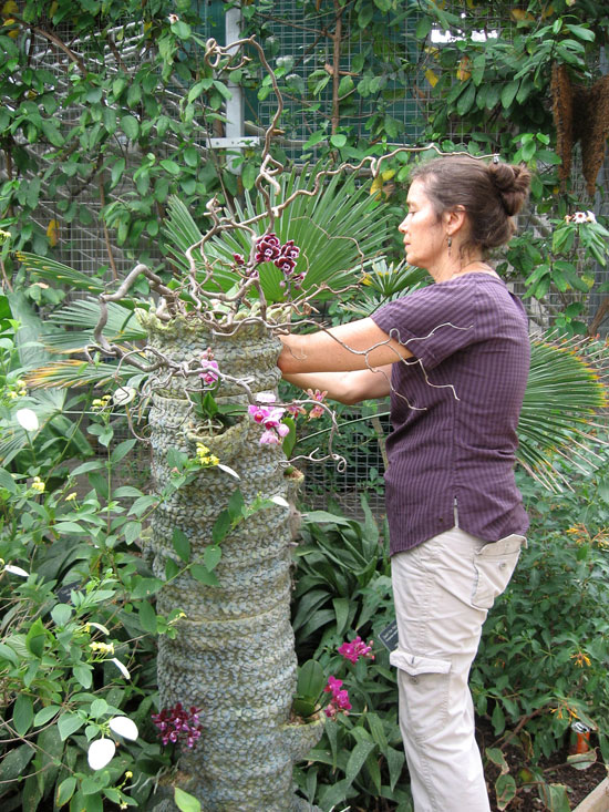 Sharon Planting Orchids In Tree