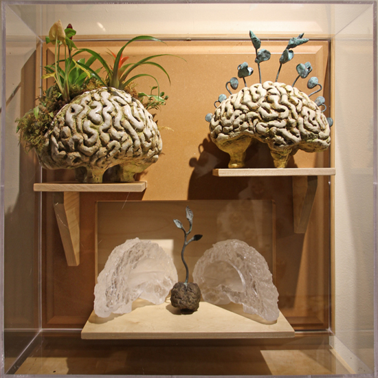 Brain Case Sculptures